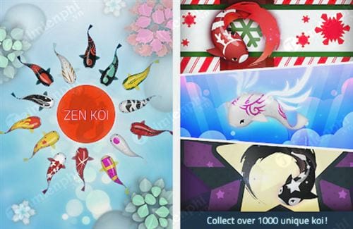 zen koi