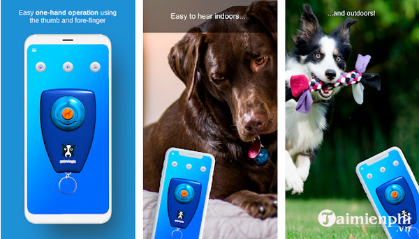 dog clicker training