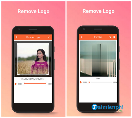 remove watermark from video