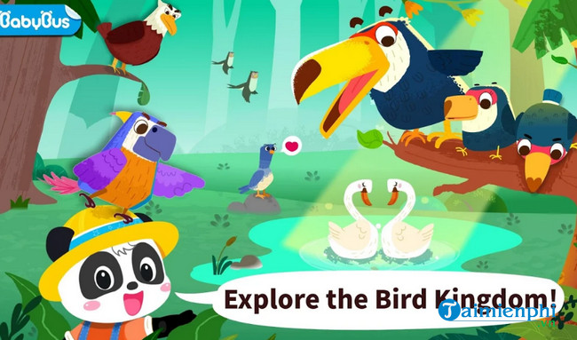 baby pandas bird kingdom