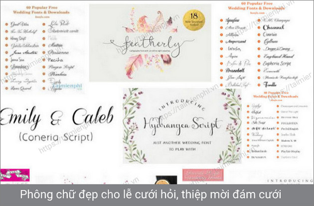 font chu dam cuoi