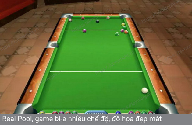 real pool
