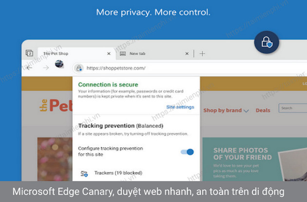 microsoft edge canary