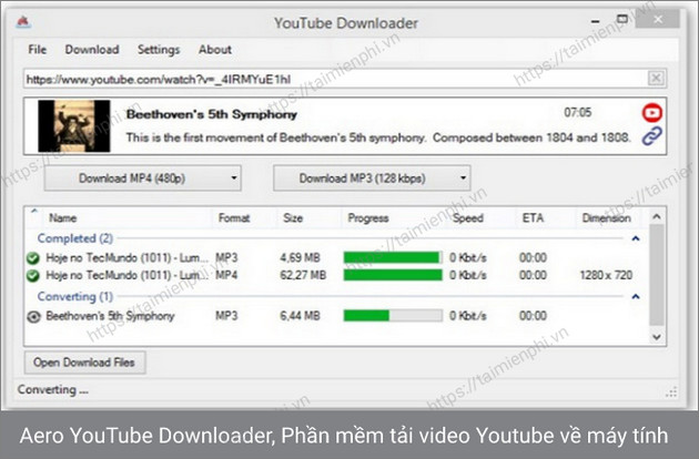 aero youtube downloader