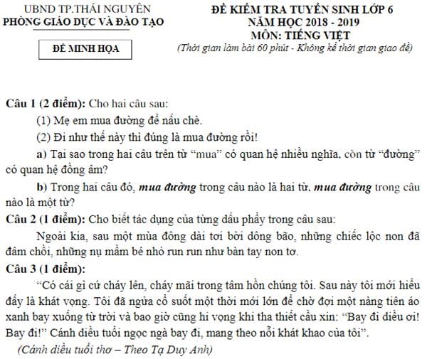 de thi vao lop 6 mon tieng viet