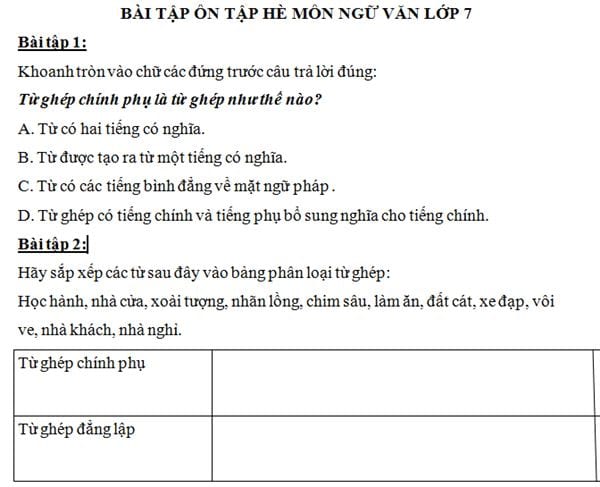 bai tap on he mon ngu van lop 7