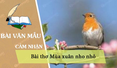 cam nhan ve bai tho mua xuan nho nho