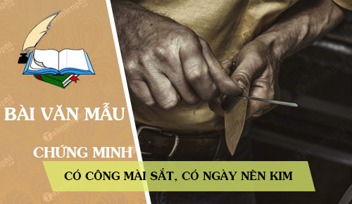 chung minh cau tuc ngu co cong mai sat co ngay nen kim