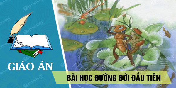 giao an bai hoc duong doi dau tien