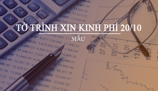 mau to trinh xin kinh phi 20 10