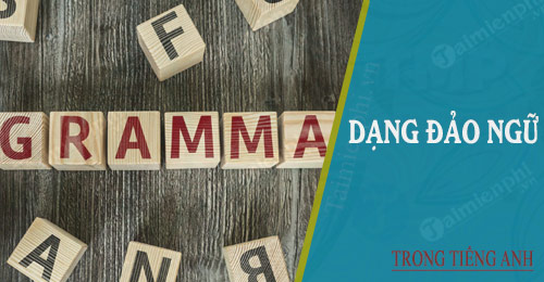 cac dang dao ngu thuong gap trong tieng anh