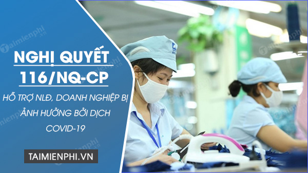 tai nghi quyet 116 nq cp