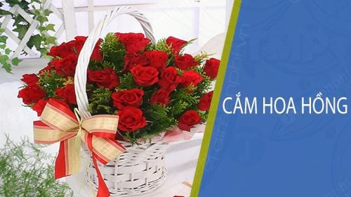 cam hoa hong