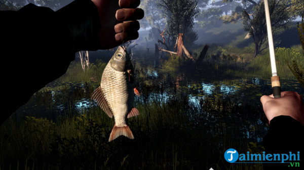 professional fishing