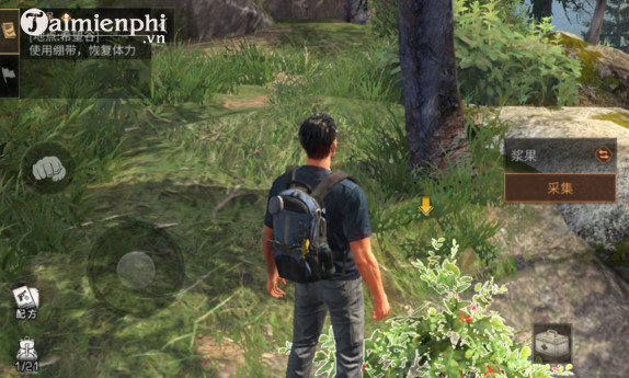 the day after tomorrow