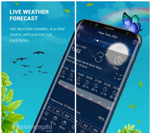 live weather
