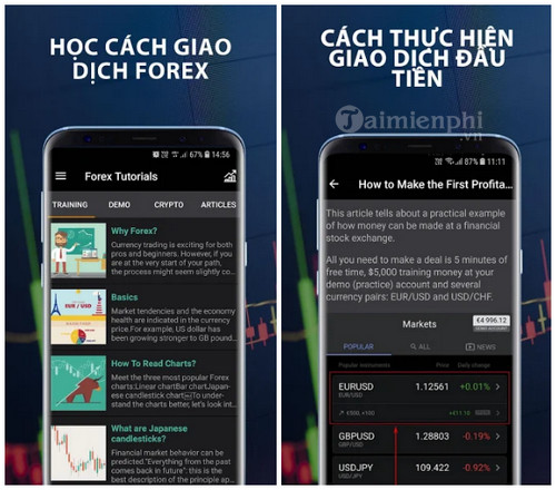 forex tutorials