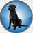 download Black Lab for Linux 5.0.2 