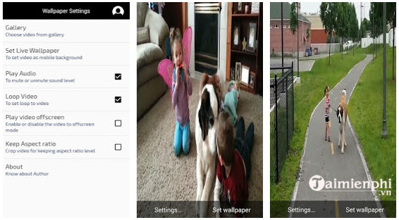 video live wallpaper